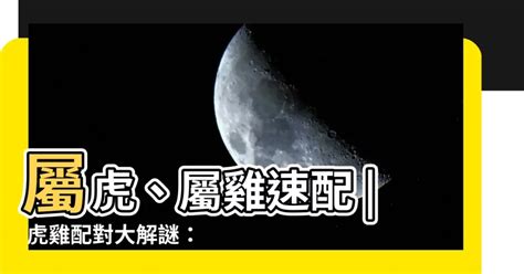 虎雞配|【虎配雞】虎配雞：史上最強婚姻組合？屬虎與屬雞配對全攻略